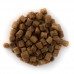 Premium Coarse (25KG)