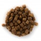 Premium Coarse (10KG)