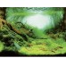 Aquarium achterwand poster | Planten en oceaan motief (60x30cm)