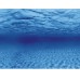 Aquarium achterwand poster | Wortels en zee motief (100x50cm)