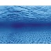 Aquarium achterwand poster | Wortels en zee motief (150x60cm)