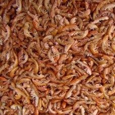 Vlokreeftjes (Gammarus) (30 Liter)