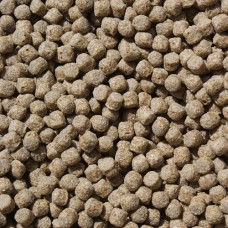 Koi Wheat Germ (4KG) 