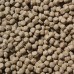 Koi Wheat Germ (2KG) 