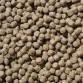 Koi Wheat Germ (2KG) 