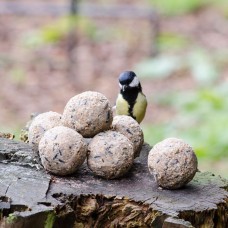 Mezenbollen / Vetbollen Zonder Net (50 stuks)