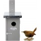 Vogelhuisje Winterkoning Grijs
