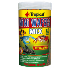 Tropical Mini Wafels Mix (250ml)