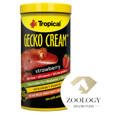 Tropical Gecko Cream Strawberry 250ml