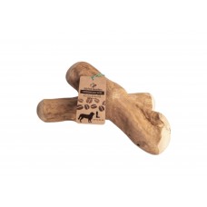 Koffieboom Kauwwortel - L - 3 stuks