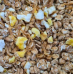 Vogelmuesli met garnalen - 1,5kg Vogelmuesli met garnalen - 1,5kg